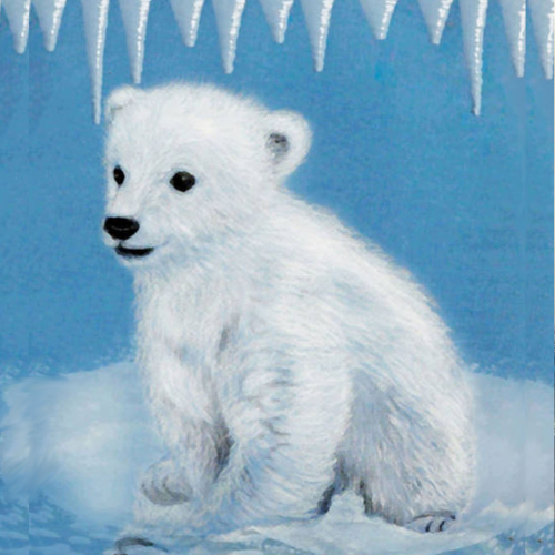 Winter Photography Gallery