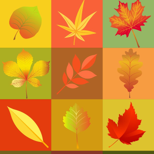 Autumn Image Gallery